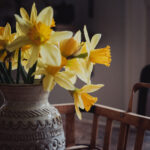 iPhone直播新玩法,解锁你的移动直播新体验 5x47w8