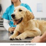 2109期开奖结果公布最新中奖号码查询 7qa7u