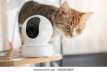 202开奖结果震撼揭晓,幸运号码正式公布