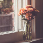 2025年香港赛马会最新开奖结果查询 9p3qj4kt