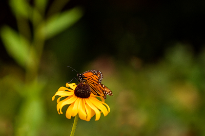 iPad在线观看翡翠台直播,高清流畅追港剧首选