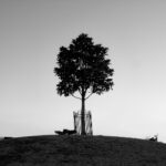 205期3D开奖结果揭晓:最新中奖号码与走势分析 lv2l05