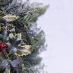 20号双色球开奖结果公布,幸运号码揭晓 pn4zrcw9su