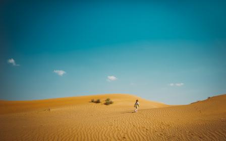 2124期开奖结果震撼揭晓,大奖花落谁家?