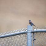 20开奖结果最新公布,速来查看幸运号码! t168n