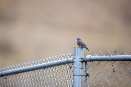 20开奖结果最新公布,速来查看幸运号码!