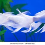 213期历史开奖结果查询与完整数据回顾 teufory57