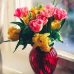 IA5直播平台全新上线,精彩赛事不容错过 uygaxbahl3