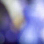 2114期双色球开奖结果揭晓:幸运号码震撼出炉 w1bp6wxp